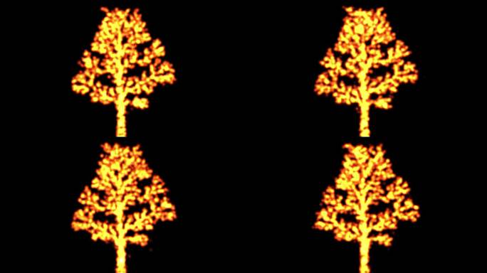 燃烧的火树运动图形与纯黑色背景
