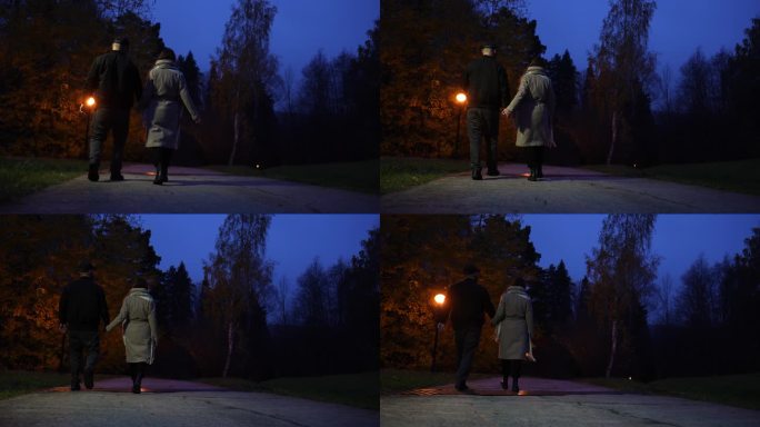 夜深人静的秋天公园里，情侣手拉手散步的后景