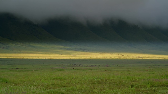 在坦桑尼亚，广阔的草地被远处雄伟的群山所衬托。广阔的草地与青翠的山坡融为一体