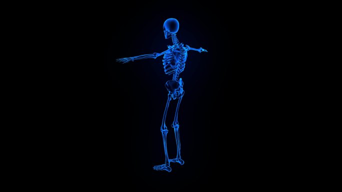 科技医疗人体骨架全息投影