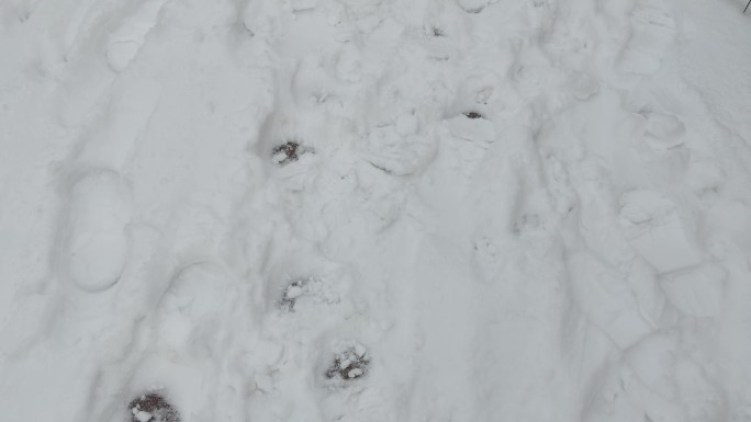 地面 积雪 脚印 空镜头