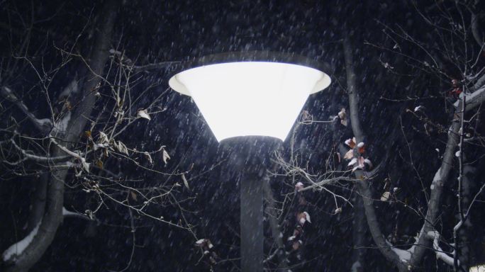 城市街道下雪 雪夜道路夜景 夜晚路灯