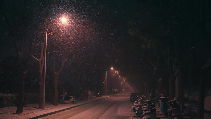 冬天路灯下雪
