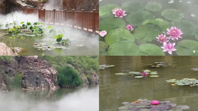 航拍+实景 峡谷内的莲花