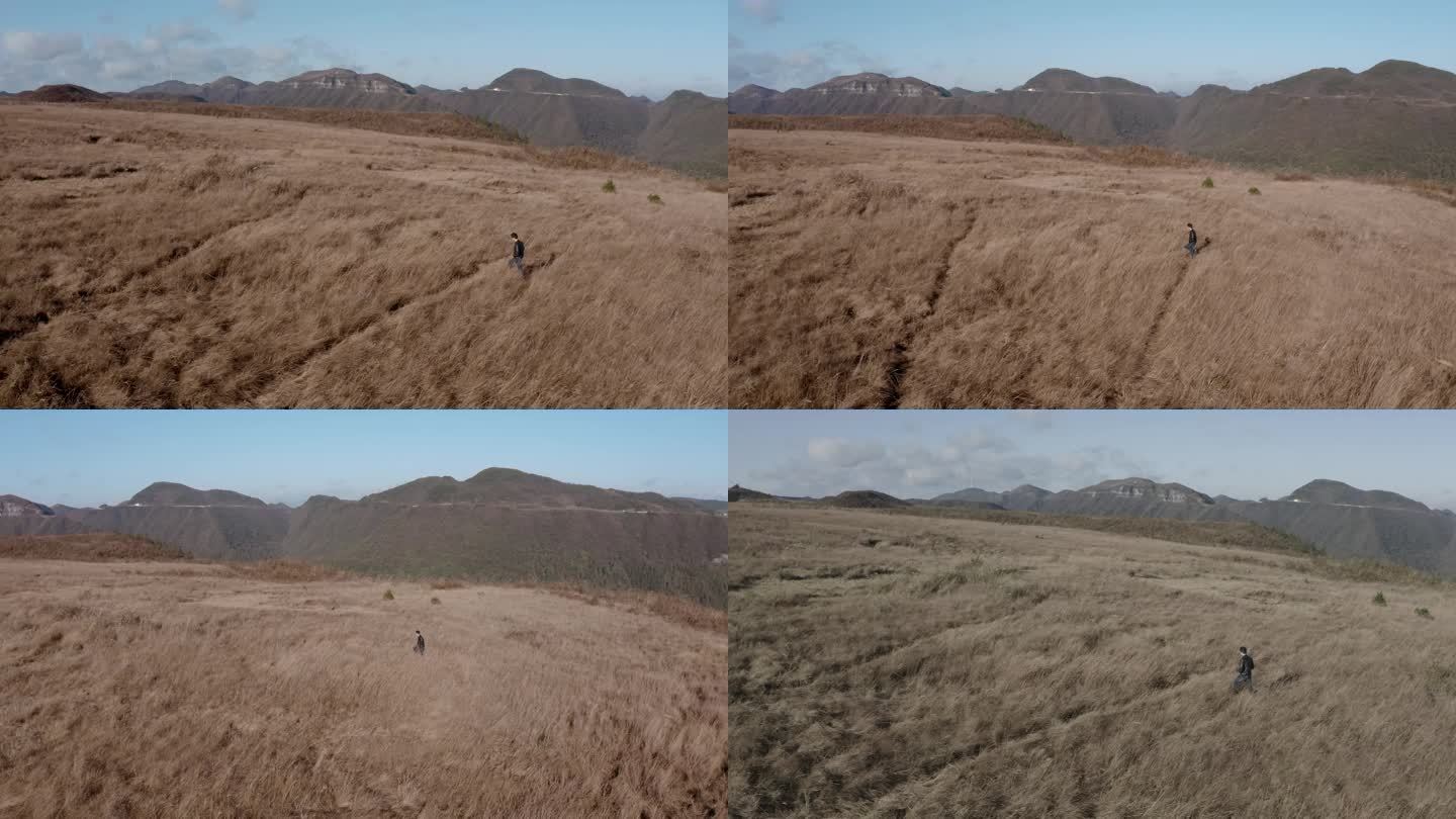 航拍秋日男人独自走在山坡的草地上
