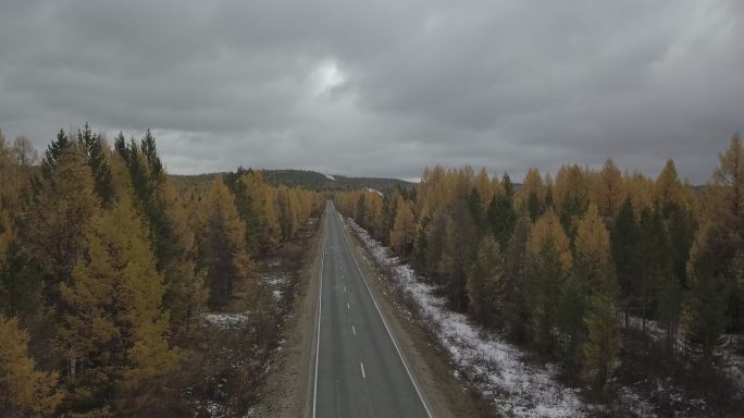 航拍俄罗斯西伯利亚森林公路平原