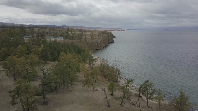 航拍俄罗斯西伯利亚湖岸树木