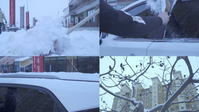 冬天铲雪扫雪一组视频