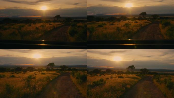 从移动的车辆上看，阳光普照的塔兰吉尔草原