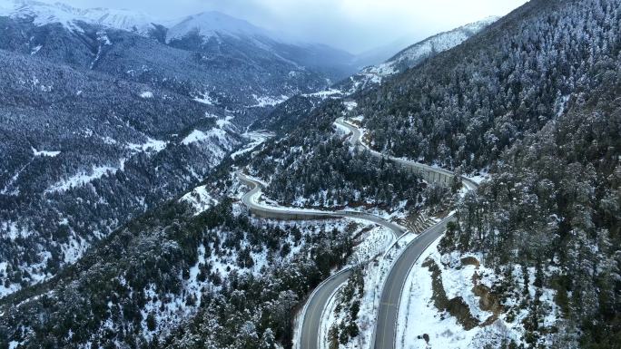 云南白马雪山保护区宣传片