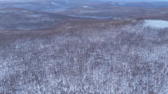 航拍大兴安岭林海雪原风光合集