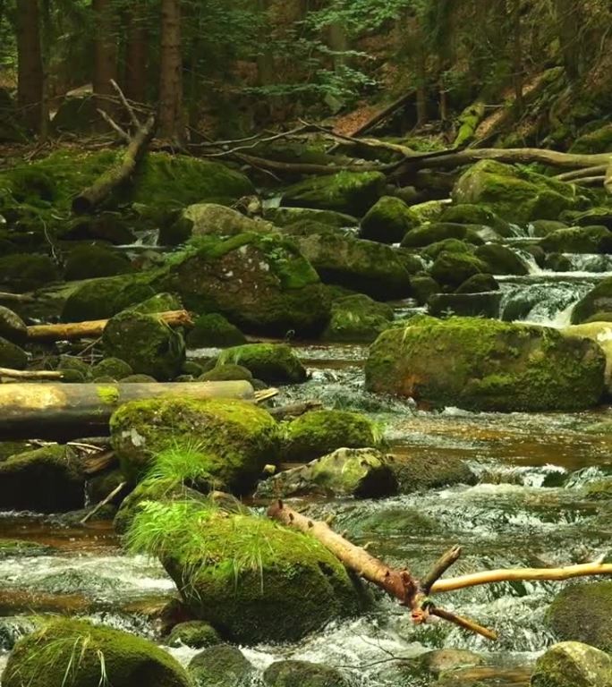 清澈神秘的森林河流在茂密的岩石上流淌，童话般的奇幻林地。被施了魔法的小溪蜿蜒穿过长满青苔的石头、掉落