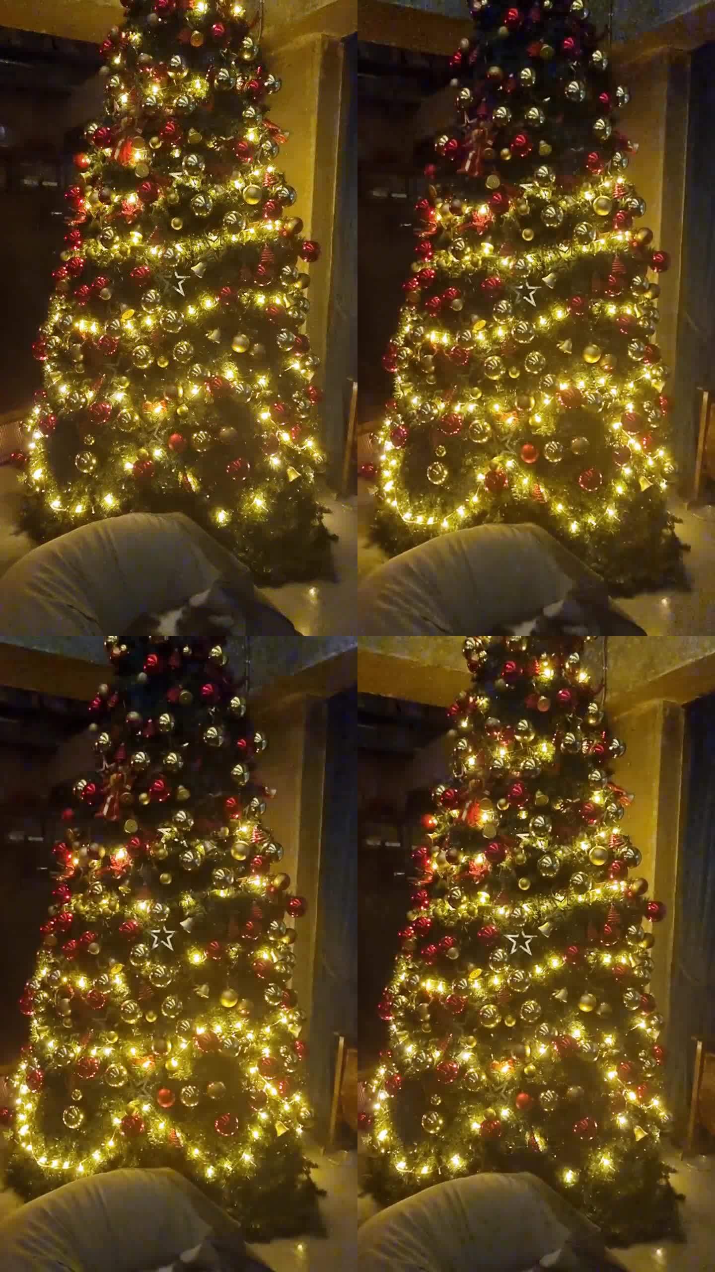 彩灯圣诞树
