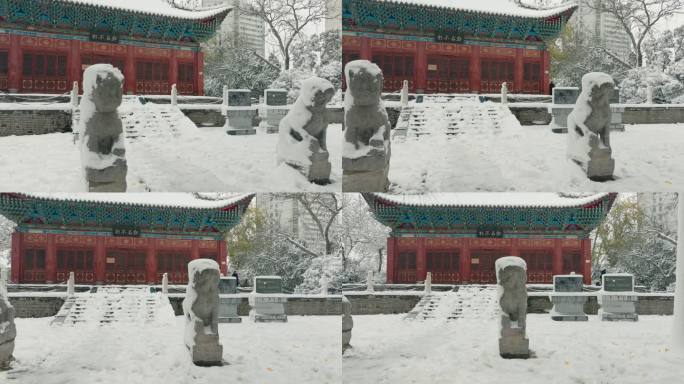 郑州胡公祠雪景