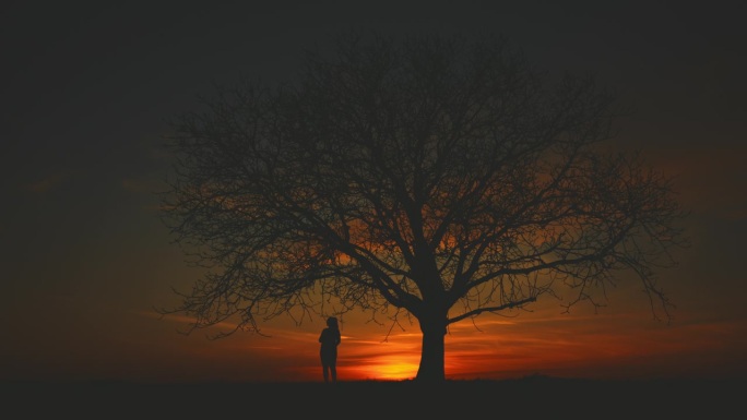日出时孕妇站在大树下的剪影