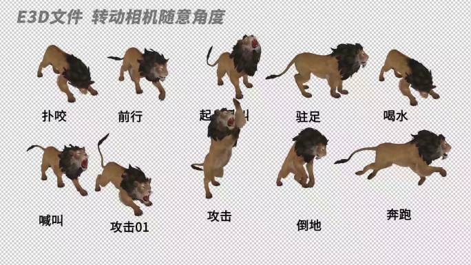 AE自由调整动物模型系列_《狮子》