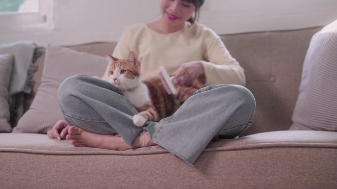 一名亚洲女子满怀爱意地给她的橙色猫咪刷毛，营造了一个快乐的宠物之家。庆祝关怀和幸福的纽带。