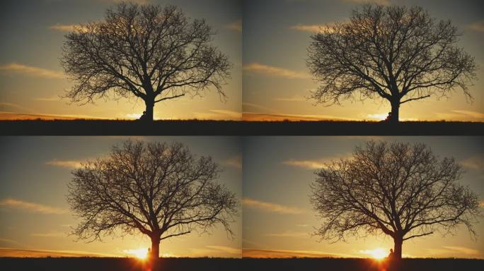 日出时孕妇斜倚树坐着的剪影