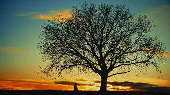 孕妇坐在树下，映衬着日出的天空