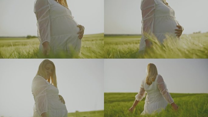 穿着白色连衣裙的孕妇走在阳光明媚的绿色麦田里