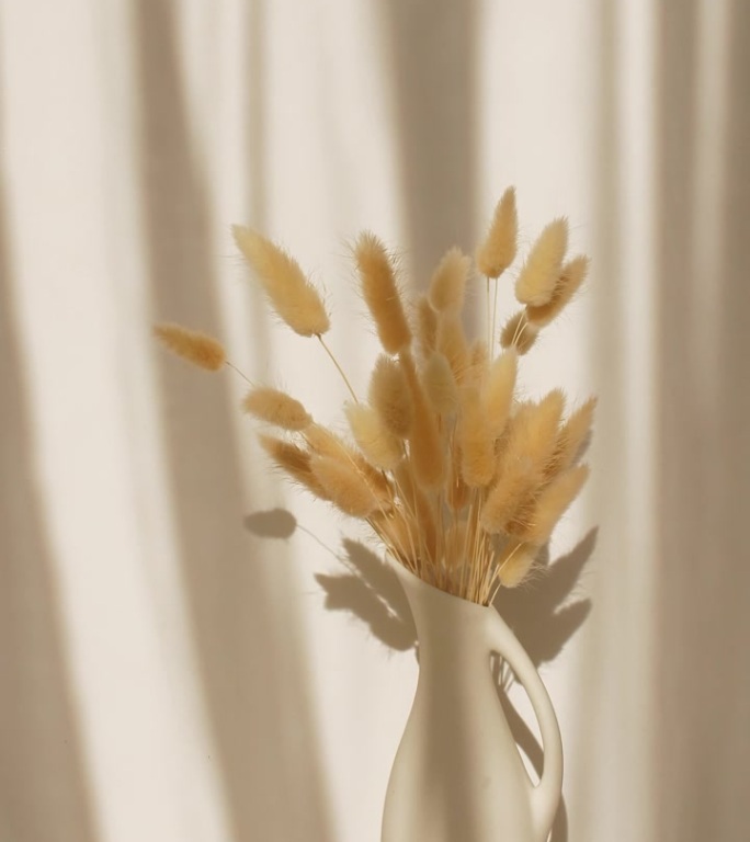 光和影从康乃馨的叶子和摇曳的白色薄纱在窗口。透明柔和的光影在墙上。产品展示，广告模型。