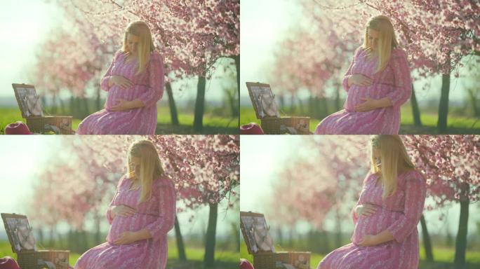 宁静的孕妇在果园里的樱花中野餐