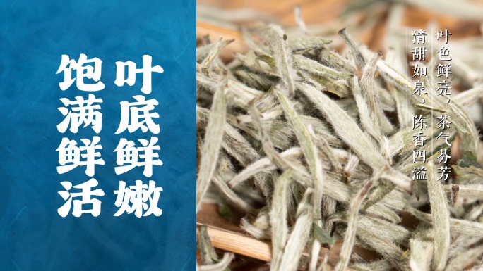 茶道文化高端白茶蓝色标题【无插件】