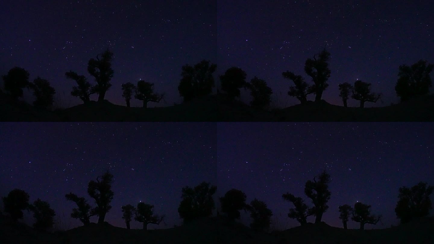 沙漠胡杨林流星雨直录流星视频素材