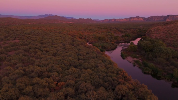 盐河，亚利桑那州航拍树林航拍森林唯美风景