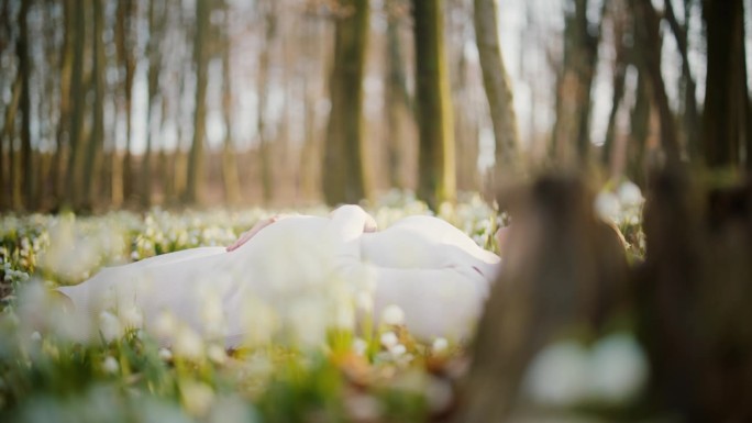 安详的孕妇躺在森林的花丛中