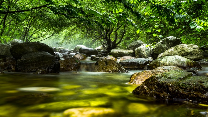 原始森林瀑布溪水山泉8K延时