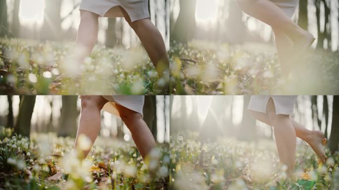 赤脚女子在阳光明媚的树林里穿行于雪花莲丛中