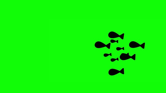 鱼学校游泳水下绿屏视频动画。4K