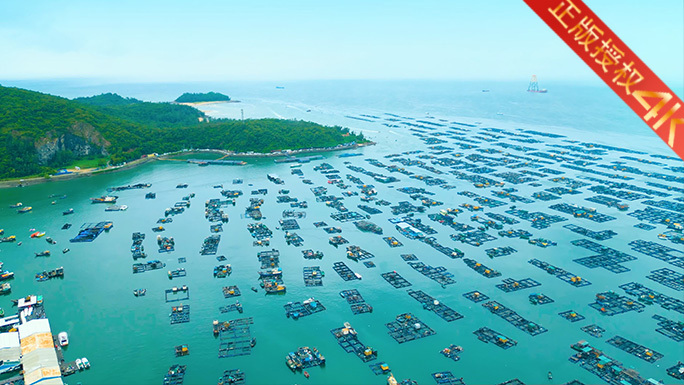 航拍渔业养殖场海洋生态农业产业经济4K