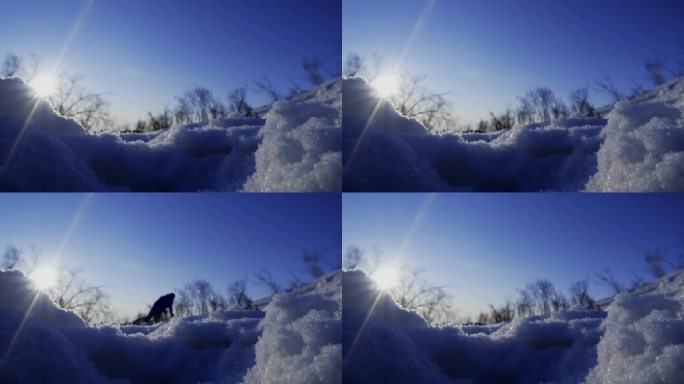 单板滑雪镜头