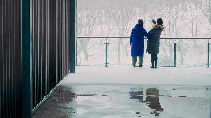 雪景下雪古建筑阿朵