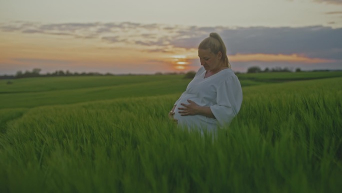 日出时，孕妇站在田园般的绿色麦田里