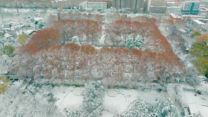 航拍郑州人民公园雪景