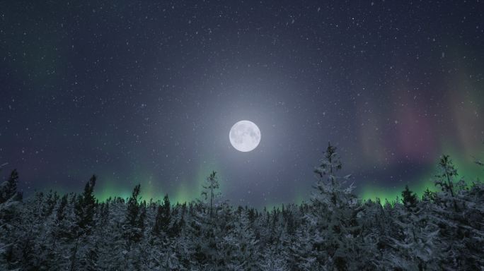 4k唯美月夜极光飘雪针叶林穿梭③