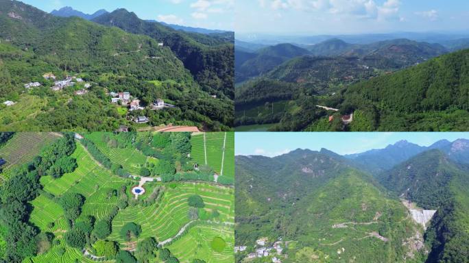 [4K]航拍素材.梅州雁南飞茶田景区