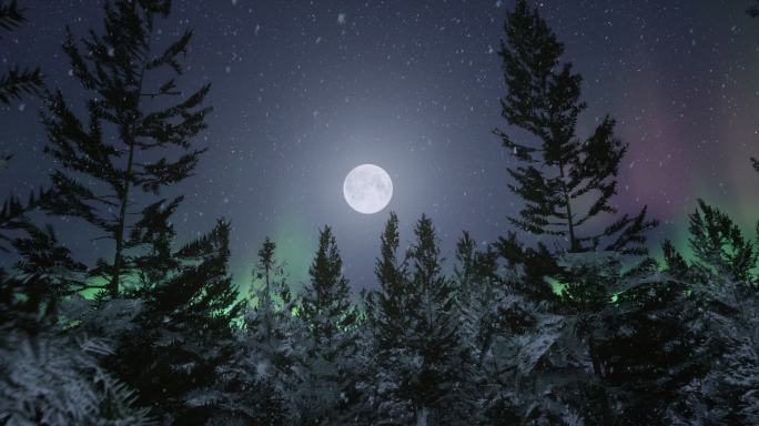 4k唯美月夜极光飘雪针叶林穿梭④