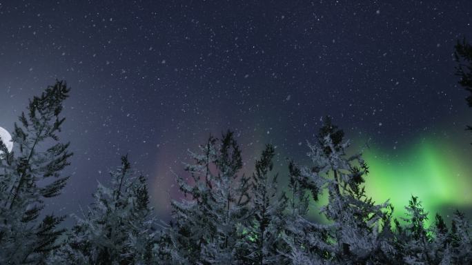 4k神秘唯美月夜极光飘雪针叶林②