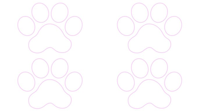 动画线性猫粉红色足迹。一个猫爪印出现了。毛圈的视频。矢量插图隔离在白色背景上