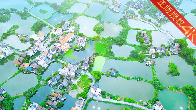 美丽乡村旅游水岸鱼塘农业美景水乡风貌4K