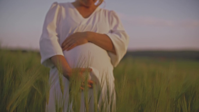 近距离拍摄一名孕妇在农村麦田里按摩腹部