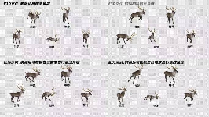 AE自由调整动物模型系列_《鹿》