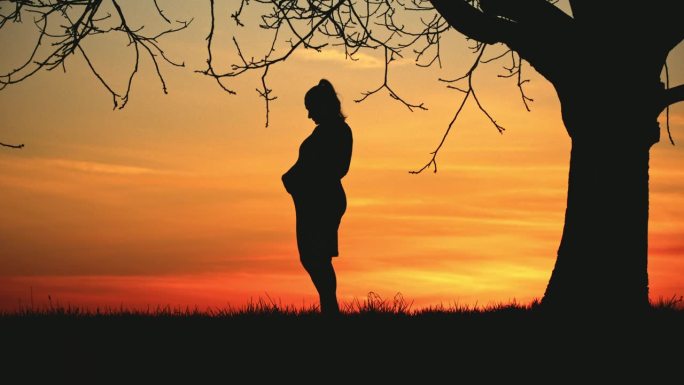 日出时站在树下的孕妇剪影