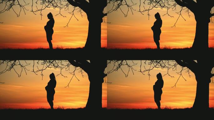 日出时站在树下的孕妇剪影