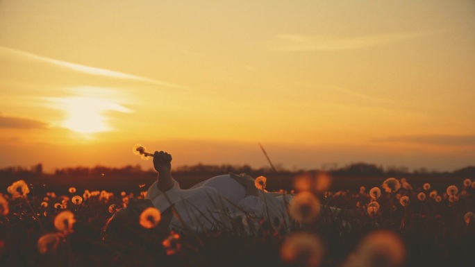 孕妇在阳光明媚的田野里躺着，吹着蒲公英
