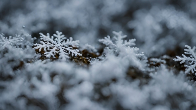 雪景冰晶雪花特写空镜头 大寒五九天